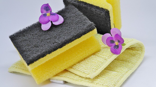tip house cleaner