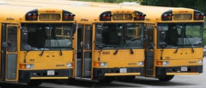 School Buses