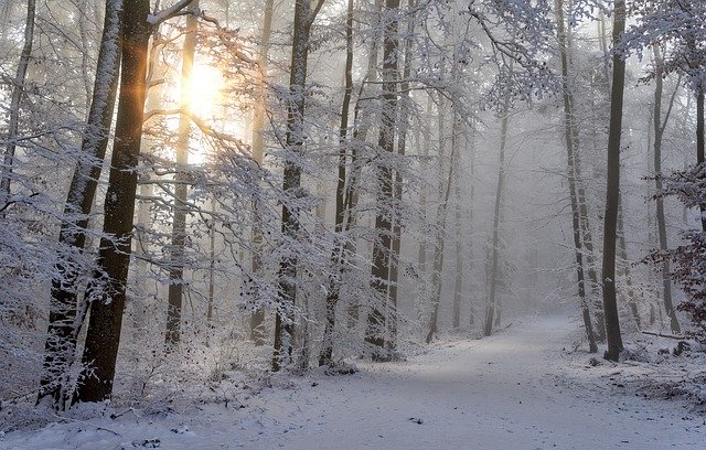 Year End Reflection