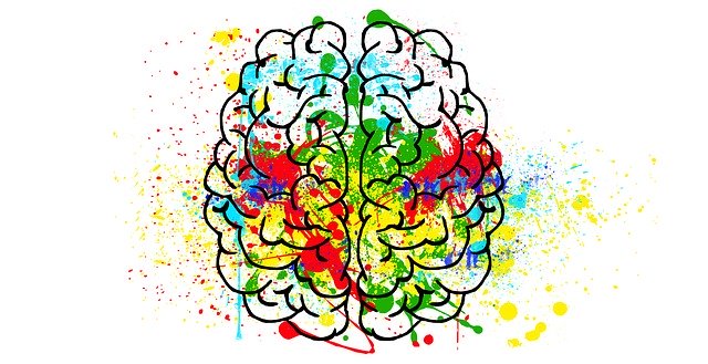 brain - emotionally attached the scarcity mindset